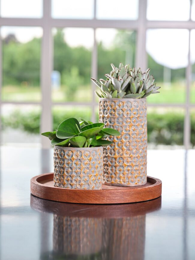 Ivyline Mustard Terni Pot