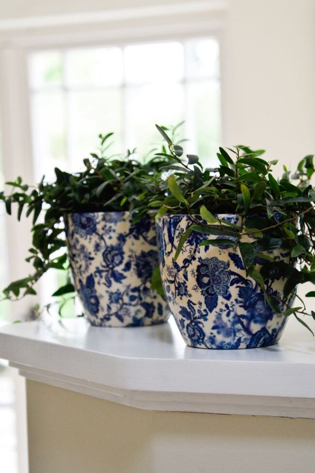 Ivyline Vintage Blue Monza Pot