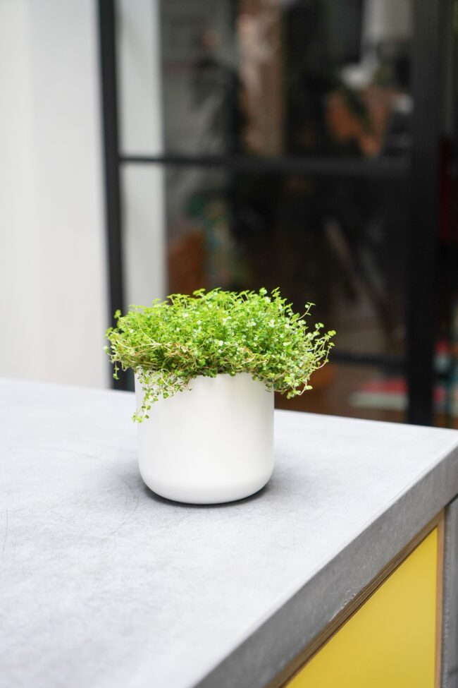 Ivyline Lisbon Planter White