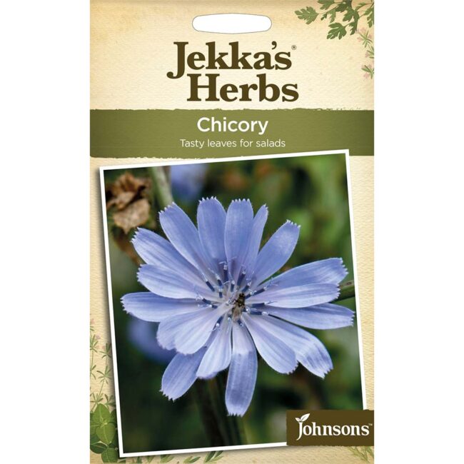 JOHNSONS JEKKA'S - CHICORY SEEDS