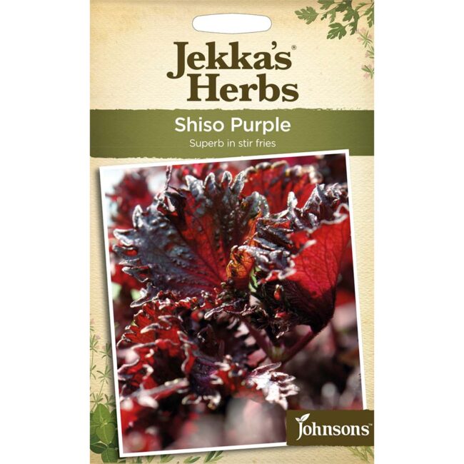 JOHNSONS JEKKA'S - SHISO PURPLE SEEDS