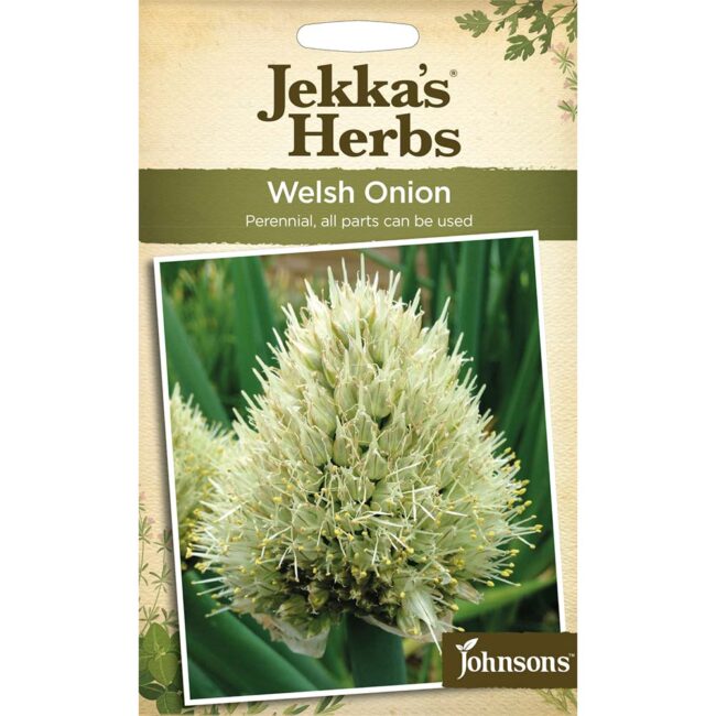 JOHNSONS JEKKA'S - WELSH ONION SEEDS