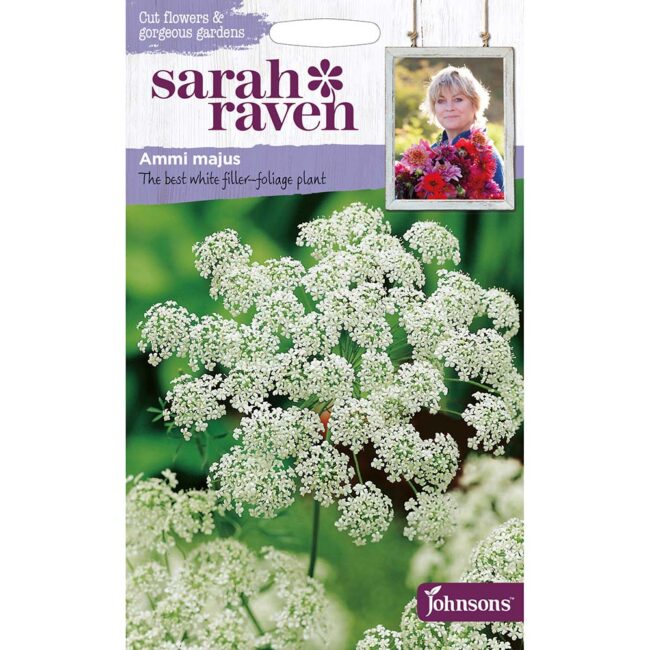 JOHNSONS SARAH RAVEN - AMMI MAJUS SEEDS