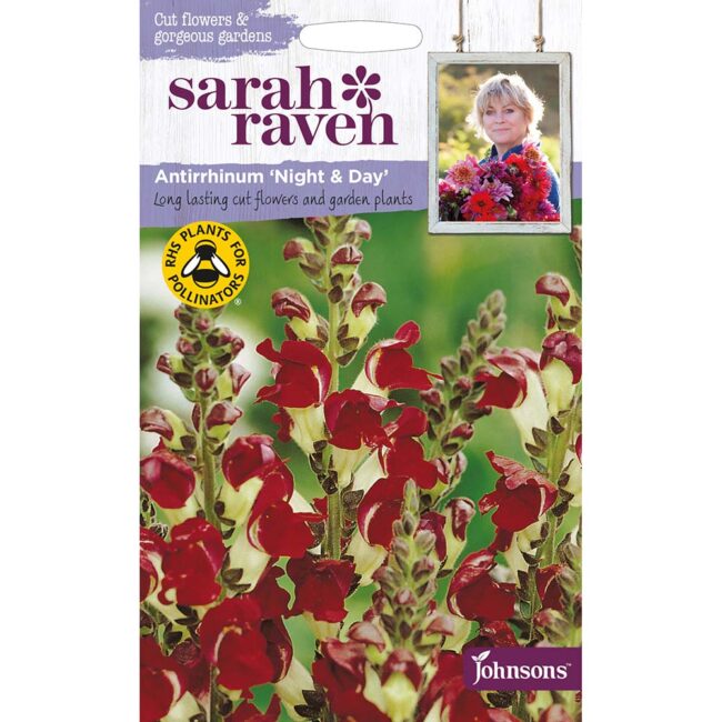 JOHNSONS SARAH RAVEN - ANTIRRHINUM NIGHT & DAY SEEDS