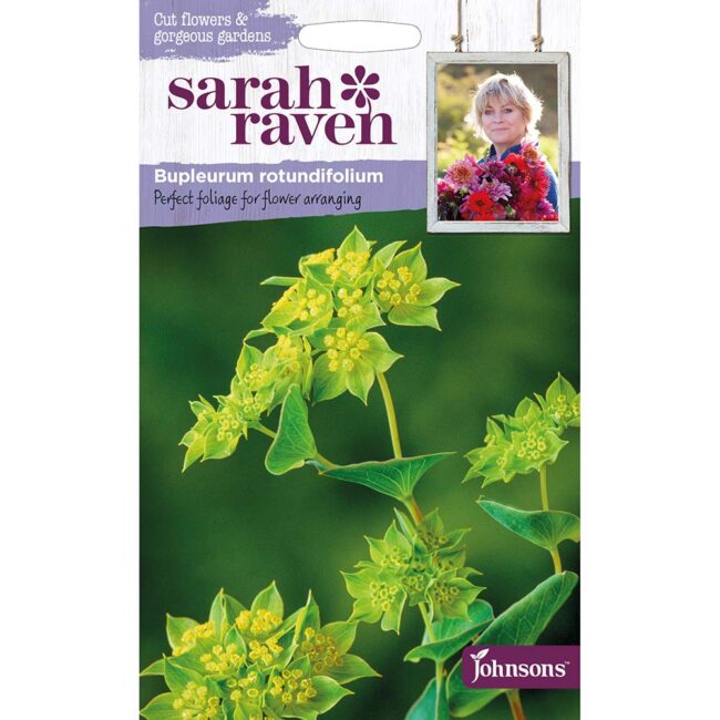JOHNSONS SARAH RAVEN - BUPLEURUM ROTUNDIFOLIUM SEEDS