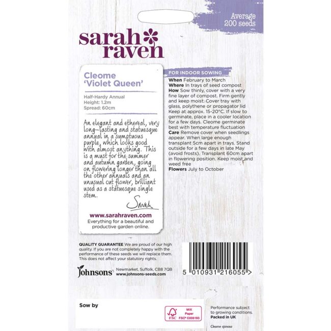 JOHNSONS SARAH RAVEN - CLEOME VIOLET QUEEN SEEDS - Image 2