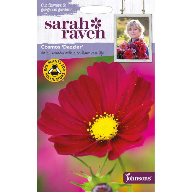 JOHNSONS SARAH RAVEN - COSMOS DAZZLER SEEDS