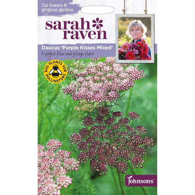 JOHNSONS SARAH RAVEN - DAUCUS PURPLE KISSES MIXED SEEDS