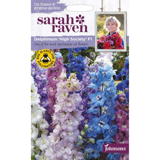 JOHNSONS SARAH RAVEN - DELPHINIUM HIGH SOCIETY F1 SEEDS