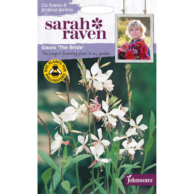 JOHNSONS SARAH RAVEN - GAURA THE BRIDE SEEDS