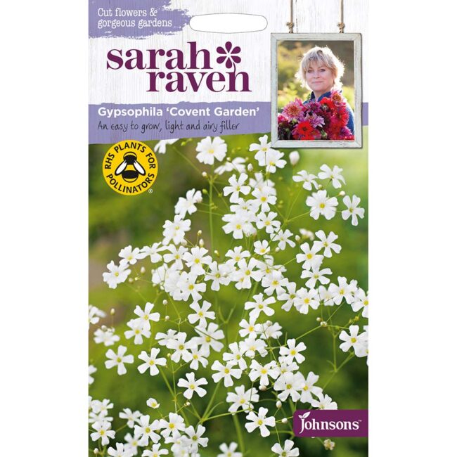 JOHNSONS SARAH RAVEN - GYPSOPHILA COVENT GARDEN SEEDS