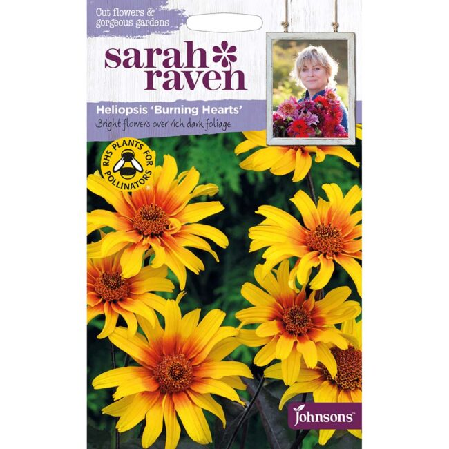 JOHNSONS SARAH RAVEN - HELIOPSIS BURNING HEARTS SEEDS