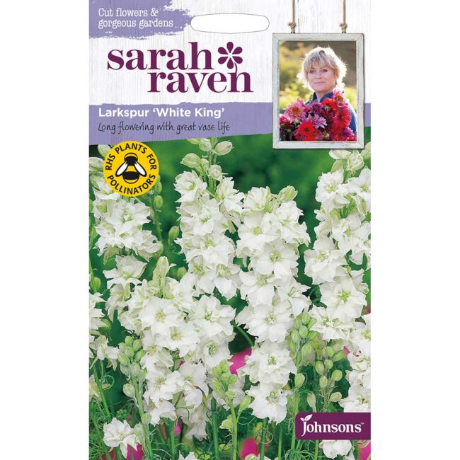 JOHNSONS SARAH RAVEN - LARKSPUR WHITE KING SEEDS