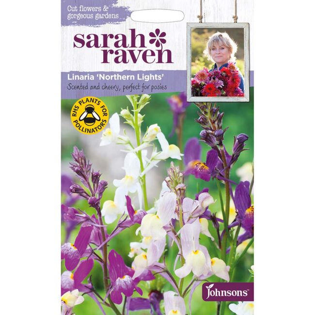 JOHNSONS SARAH RAVEN - LINARIA NORTHERN LIGHTS SEEDS