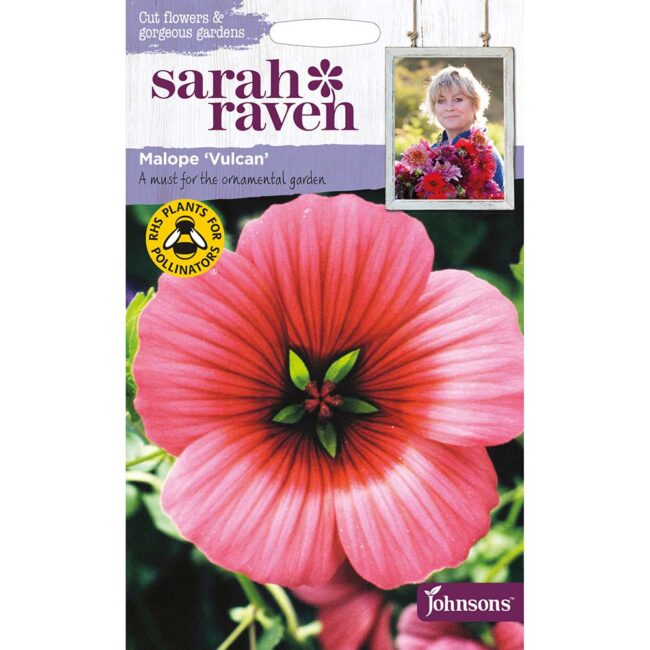 JOHNSONS SARAH RAVEN - MALOPE VULCAN SEEDS