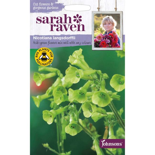 JOHNSONS SARAH RAVEN - NICOTIANA LANGSDORFFII SEEDS