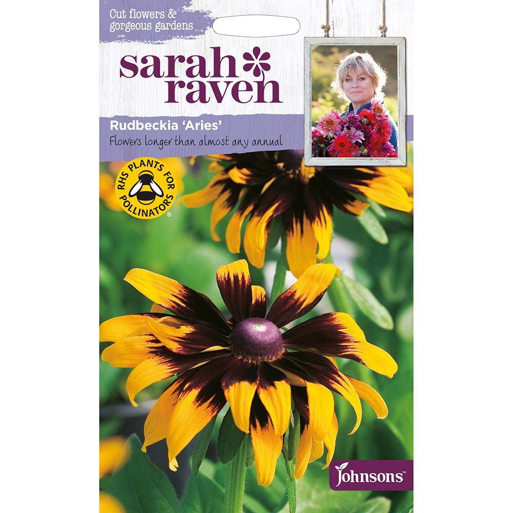 JOHNSONS SARAH RAVEN - RUDBECKIA ARIES SEEDS