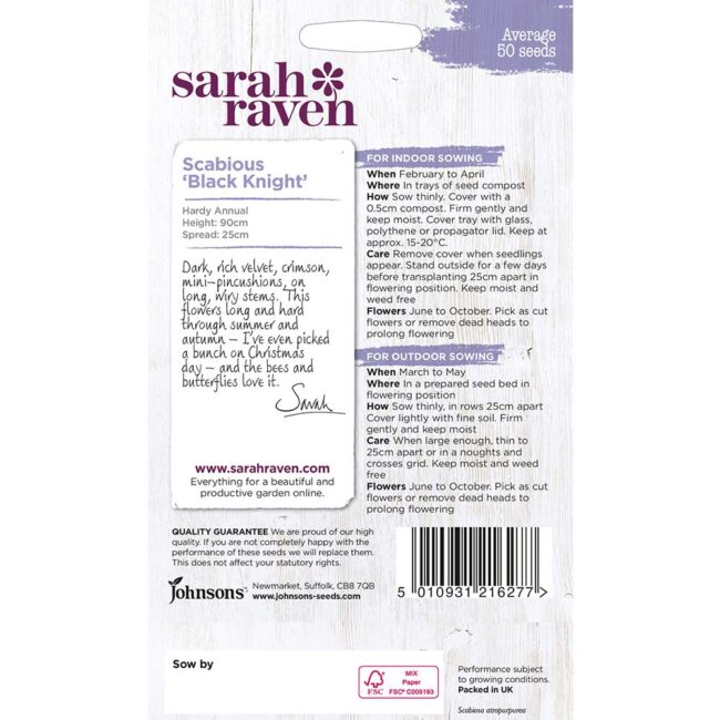 JOHNSONS SARAH RAVEN - SCABIOUS BLACK KNIGHT SEEDS - Image 2