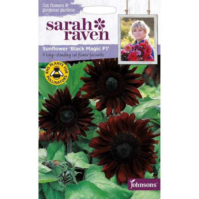 JOHNSONS SARAH RAVEN - SUNFLOWER BLACK MAGIC F1 SEEDS