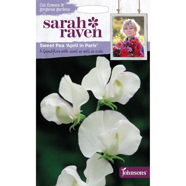 JOHNSONS SARAH RAVEN - SWEET PEA APRIL IN PARIS SEEDS