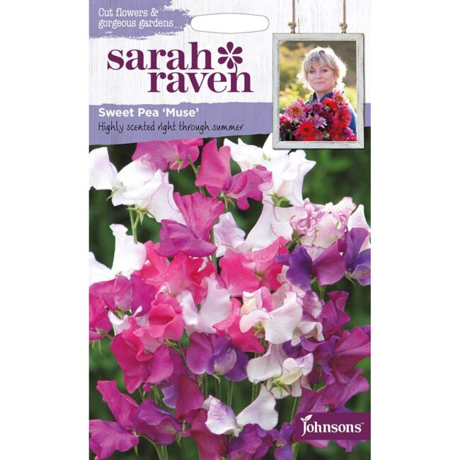 JOHNSONS SARAH RAVEN - SWEET PEA MUSE SEEDS