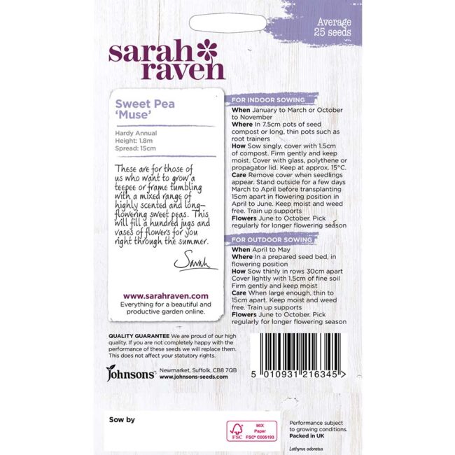 JOHNSONS SARAH RAVEN - SWEET PEA MUSE SEEDS - Image 2