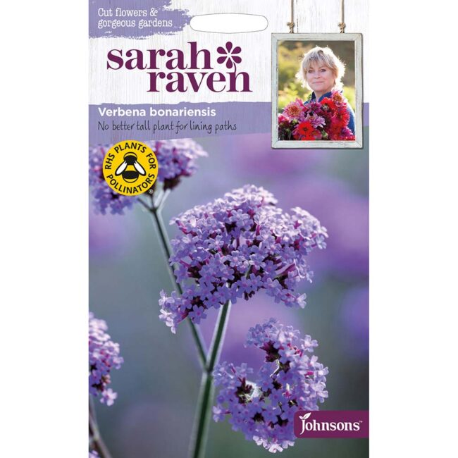 JOHNSONS SARAH RAVEN - VERBENA BONARIENSIS SEEDS