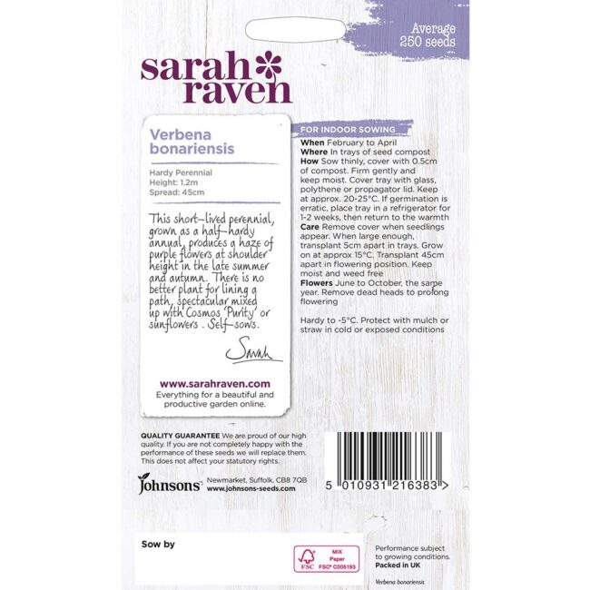 JOHNSONS SARAH RAVEN - VERBENA BONARIENSIS SEEDS - Image 2