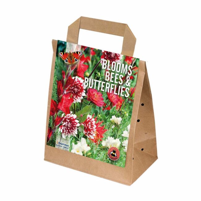 BLOOMS BEES & BUTTERFLIES RED & WHITE - KAPITEYN