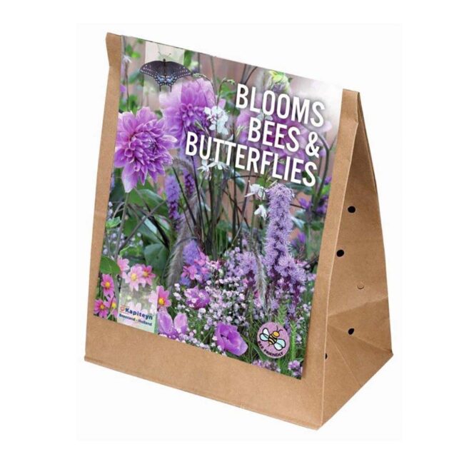 KAPITEYN BLOOMS BEES & BUTTERFLIES VIOLET PINK