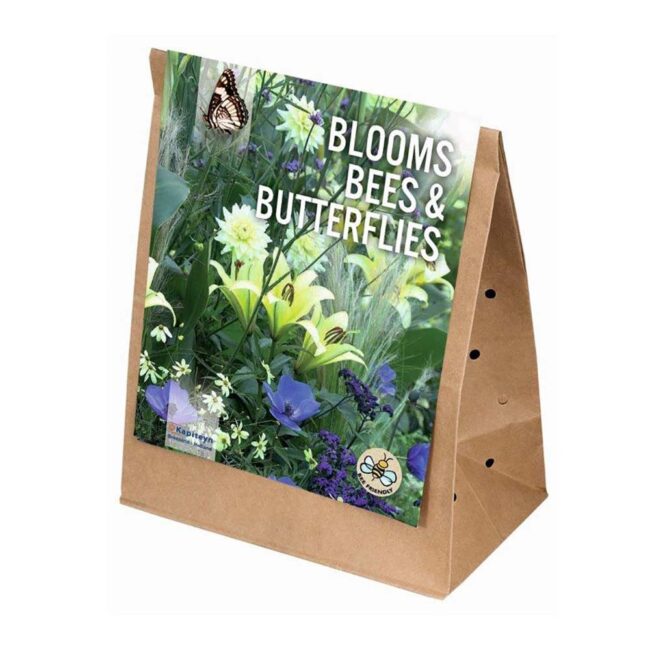 KAPITEYN BLOOMS BEES & BUTTERFLIES WHITE BLUE