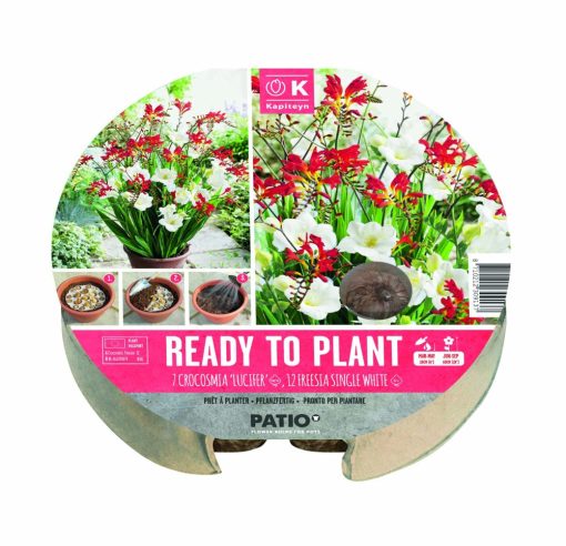 KAPITEYN PLANT MAT CROCOSMIA & IRIS