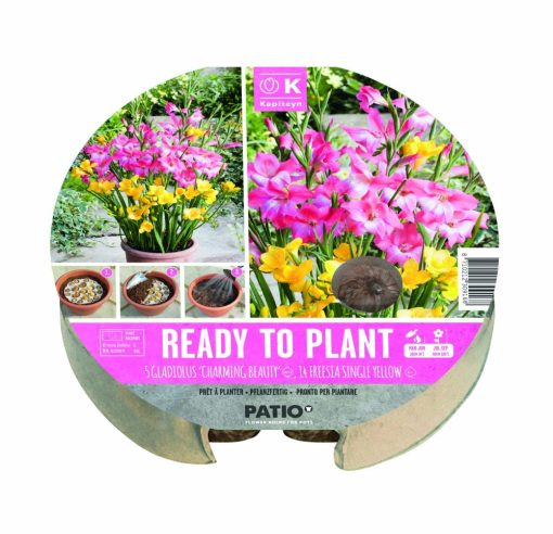 KAPITEYN PLANT MAT GLADIOLUS & FREESIA