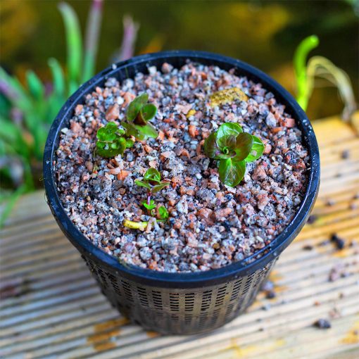 Kelkay Horticultural Potting Grit - Image 2