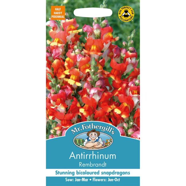 MR FOTHERGILL'S - ANTIRRHINUM REMBRANDT SEEDS