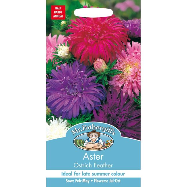MR FOTHERGILL'S - ASTER OSTRICH FEATHER SEEDS