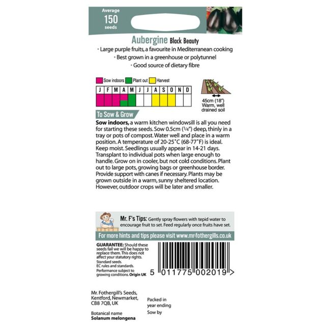 MR FOTHERGILL'S - AUBERGINE BLACK BEAUTY SEEDS - Image 2
