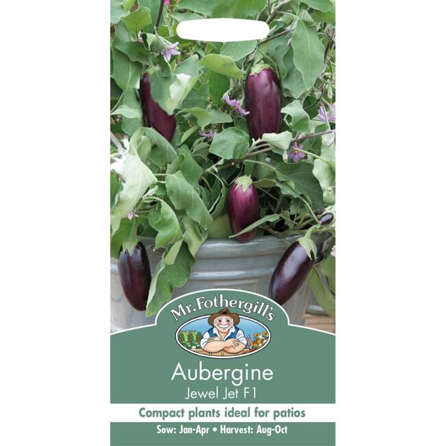 MR FOTHERGILL'S - AUBERGINE JEWEL JET F1 SEEDS