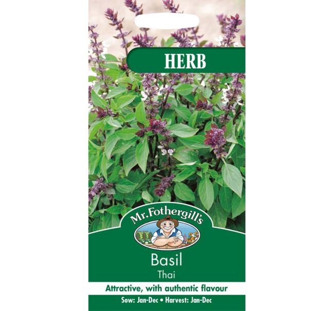 MR FOTHERGILL'S - BASIL THAI SEEDS