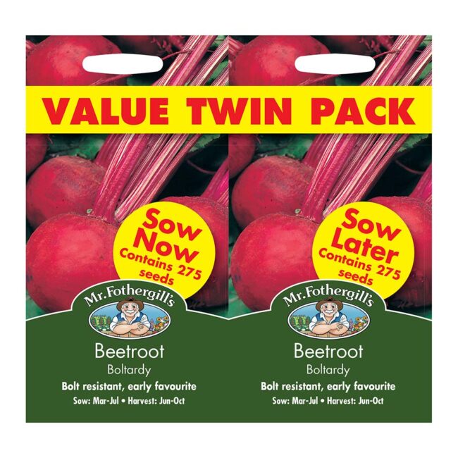 MR FOTHERGILL'S - BEETROOT BOLTARDY BUMPER PACK SEEDS
