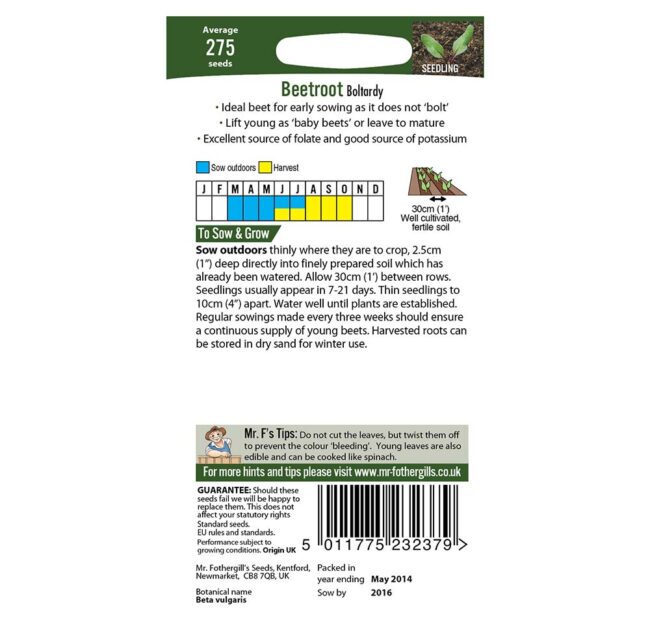 MR FOTHERGILL'S - BEETROOT BOLTARDY BUMPER PACK SEEDS - Image 2