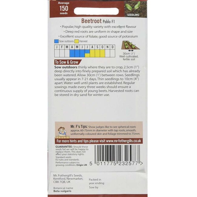 MR FOTHERGILL'S - BEETROOT PABLO F1 SEEDS - Image 2