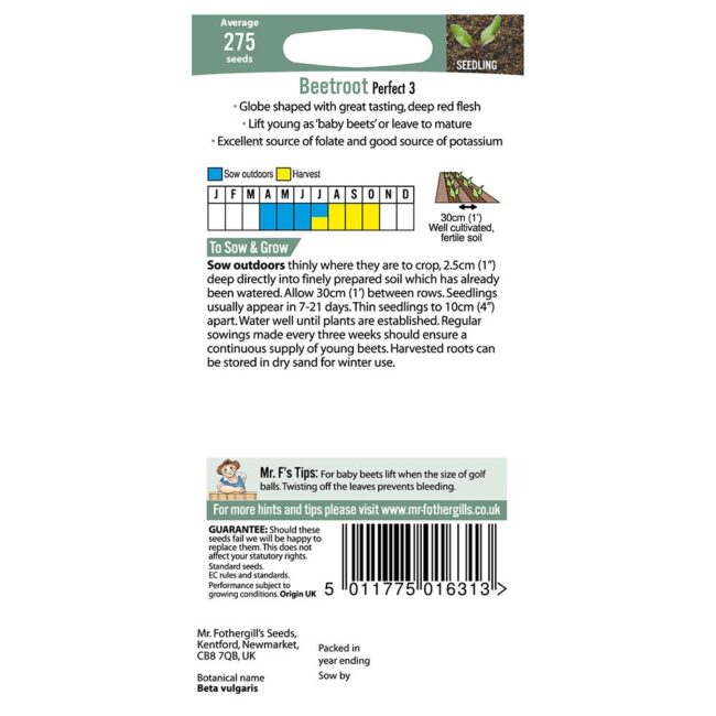 MR FOTHERGILL'S - BEETROOT PERFECT 3 SEEDS - Image 2