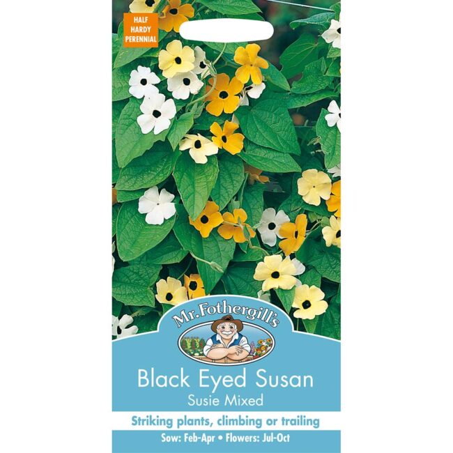 MR FOTHERGILL'S - BLACK EYED SUSAN SUSIE MIXED SEEDS