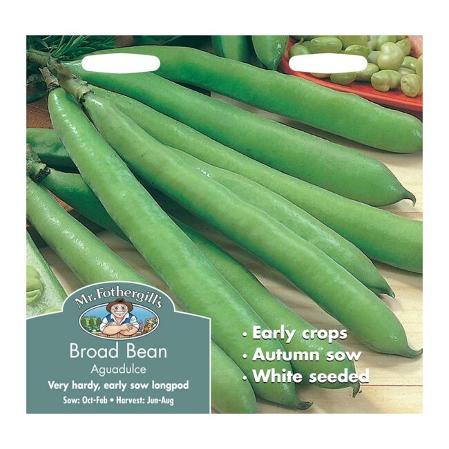MR FOTHERGILL'S - BROAD BEAN AGUADULCE SEEDS
