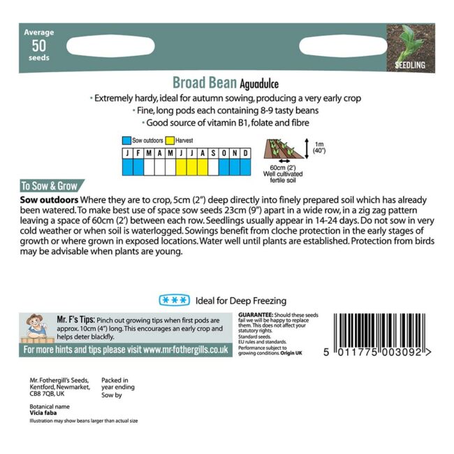 MR FOTHERGILL'S - BROAD BEAN AGUADULCE SEEDS - Image 2