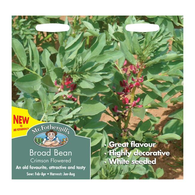 MR FOTHERGILL'S - BROAD BEAN CRIMSON FLOWERED SEEDS