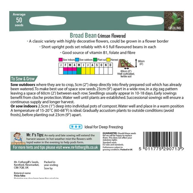 MR FOTHERGILL'S - BROAD BEAN CRIMSON FLOWERED SEEDS - Image 2