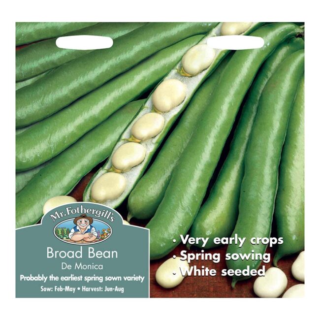 MR FOTHERGILL'S - BROAD BEAN DE MONICA SEEDS