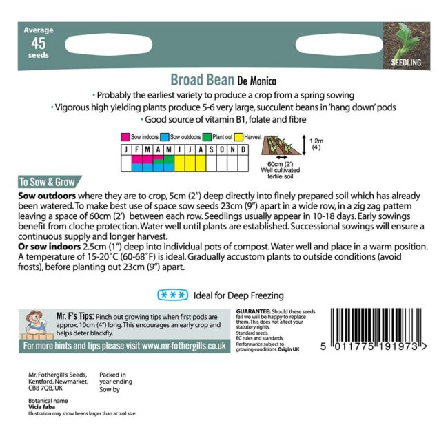 MR FOTHERGILL'S - BROAD BEAN DE MONICA SEEDS - Image 2